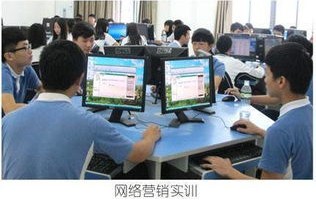 网上电子商务专业学什么