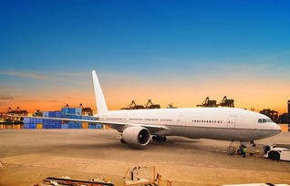 上海航空电子商务专业