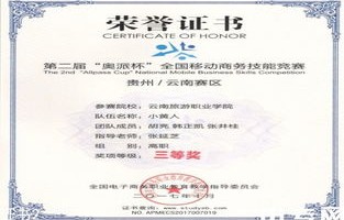 电子商务专业的职业证书