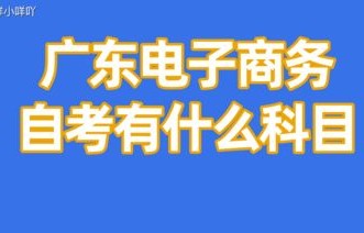 自考电子商务专业哪个好