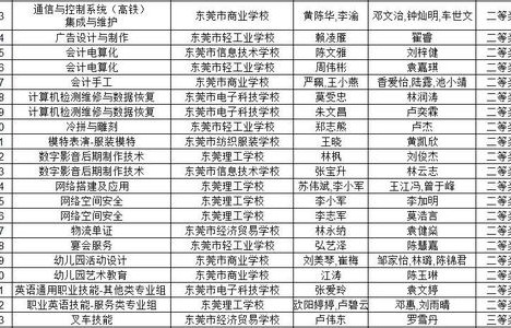 东莞理工的电子商务专业