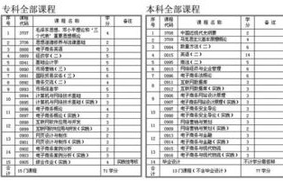 专业电子商务学哪些科目