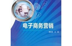 电子商务以后的专业规划