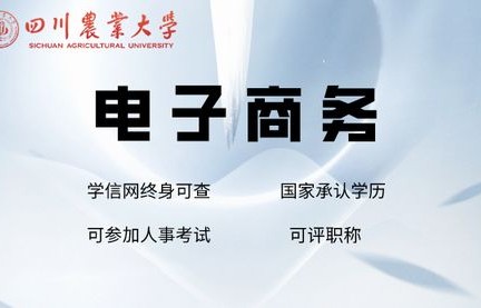 高起专 电子商务专业