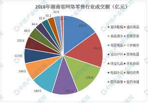 电子商务专业 分方向