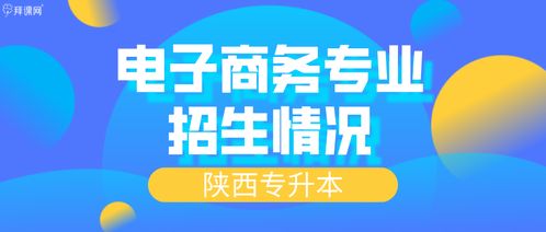 电子商务招生推荐专业