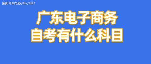 大专自考电子商务专业