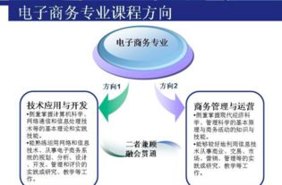 电子商务专业 考公