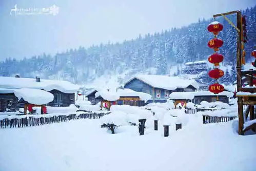 西安雪落，东北风骨——一场别具一格的冬日盛景