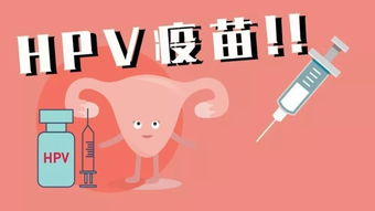 湖北省男性HPV疫苗接种全面展开，守护男性健康防线