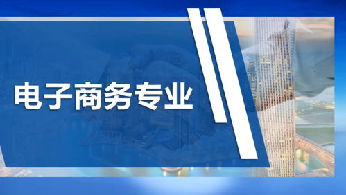 电子商务专业技能论文