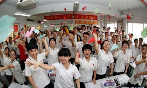我和我的专业电子商务